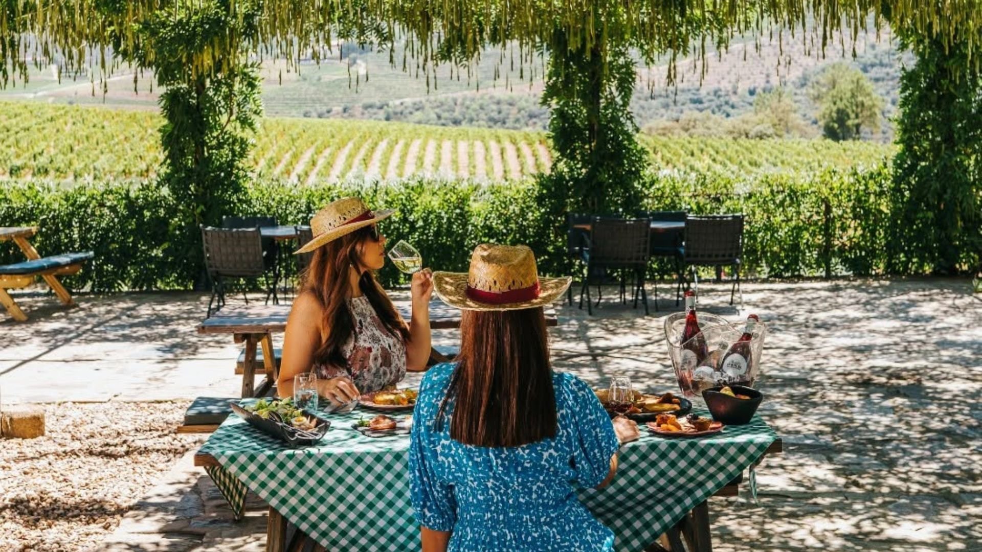picnic-3