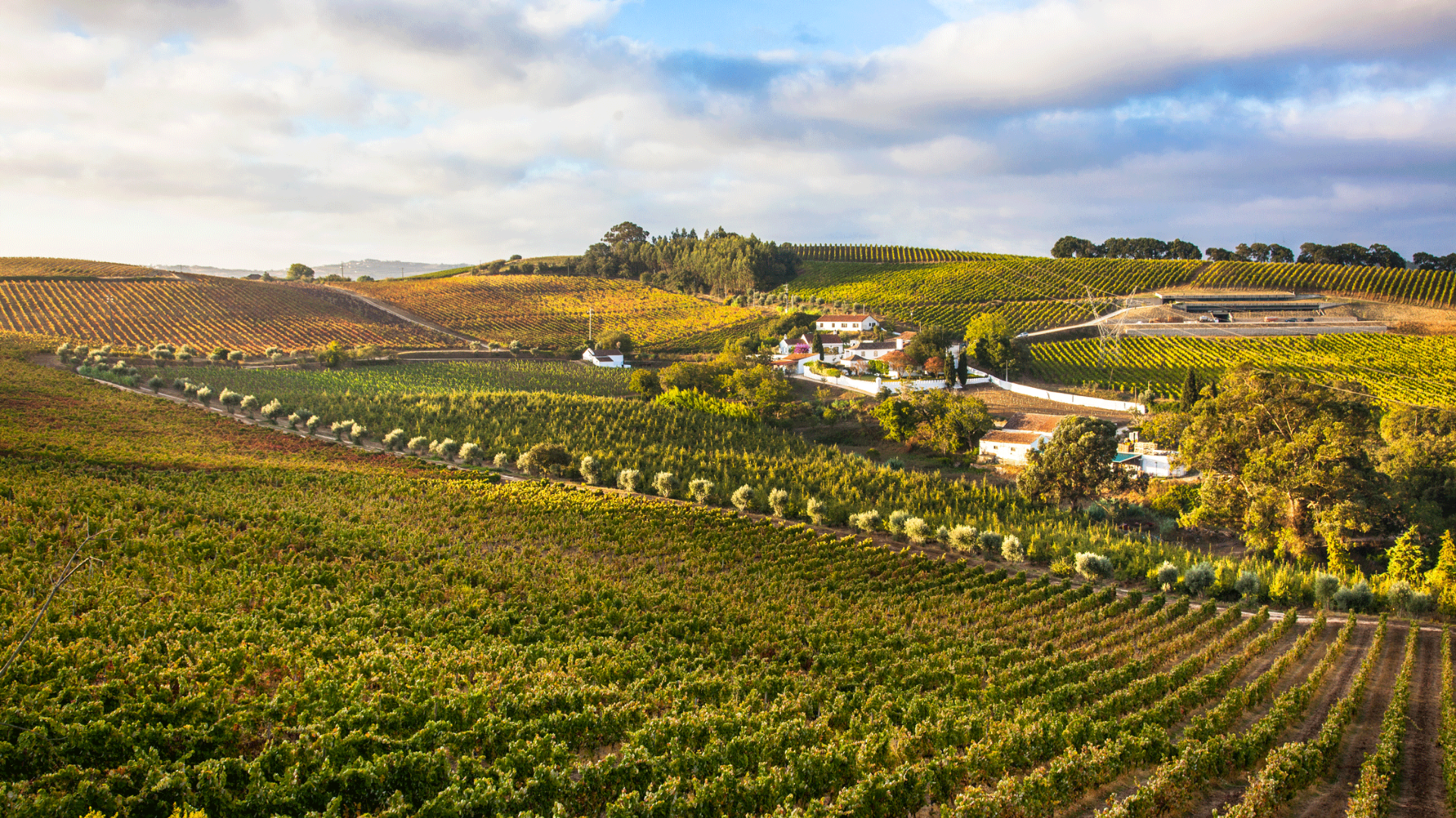 Quinta da Chocapalha