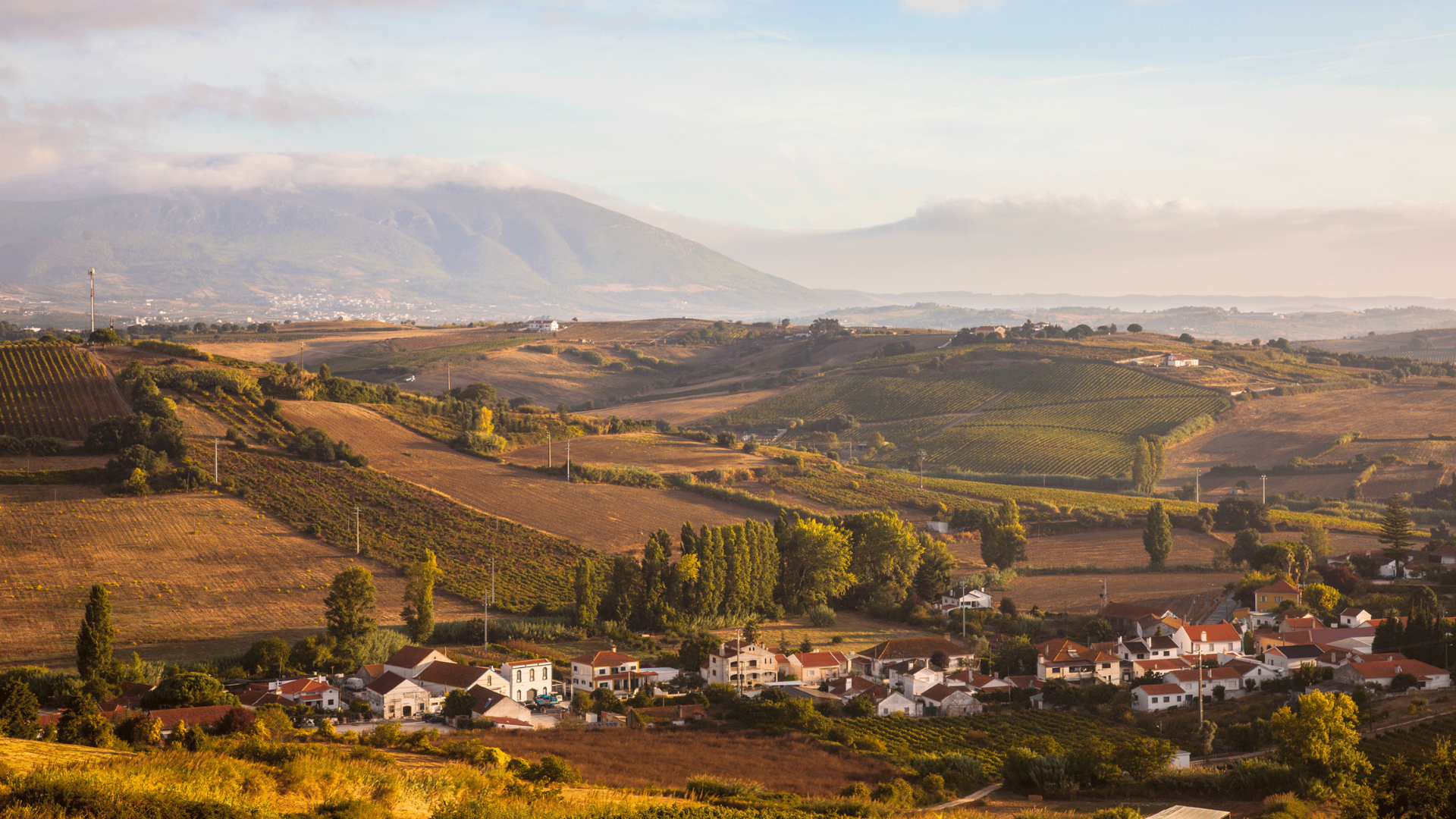 Quinta da Chocapalha