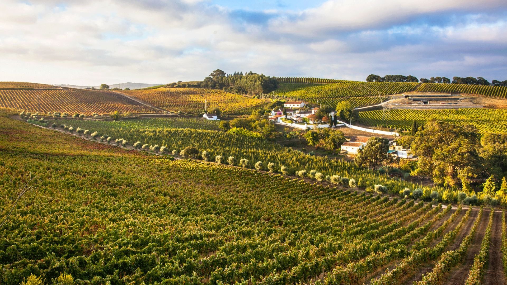 Quinta da Chocapalha