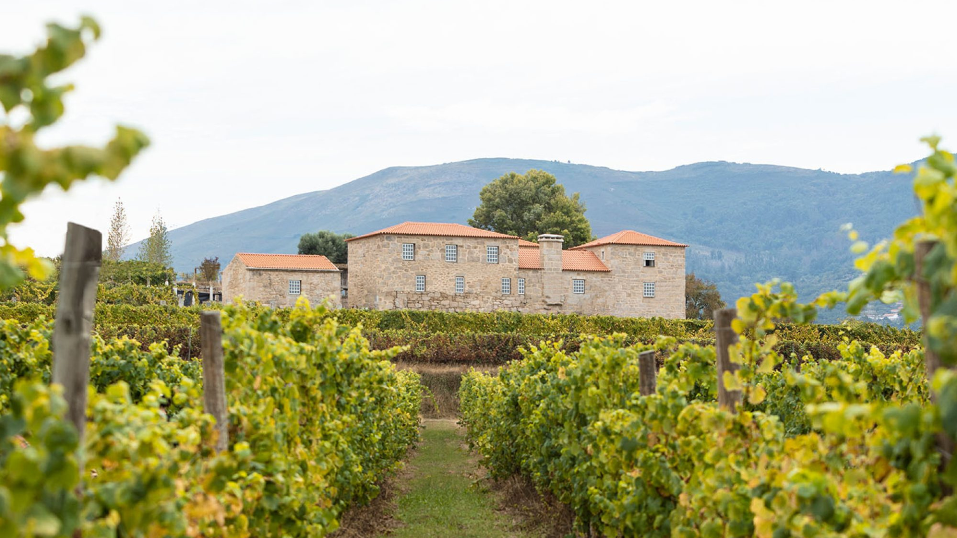 Quinta da Torre by Anselmo Mendes
