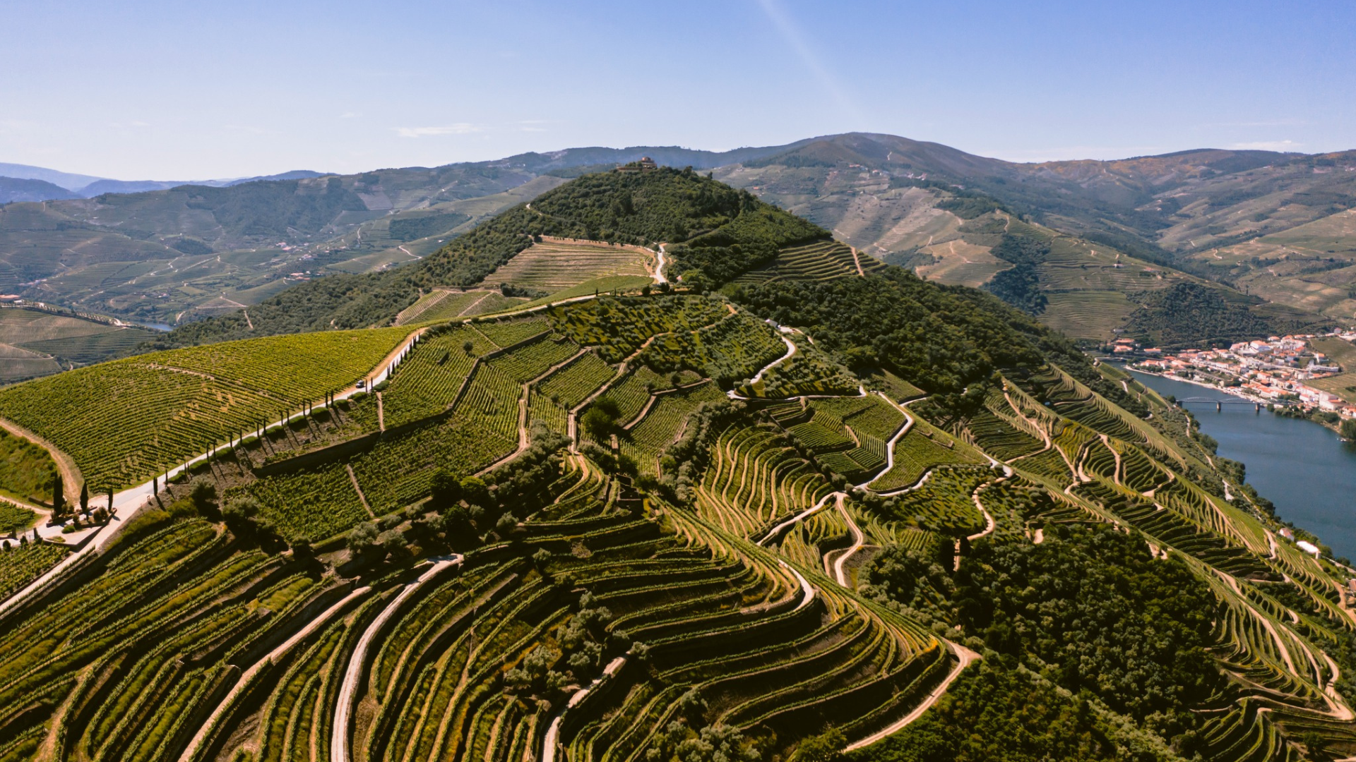 Quinta das Carvalhas