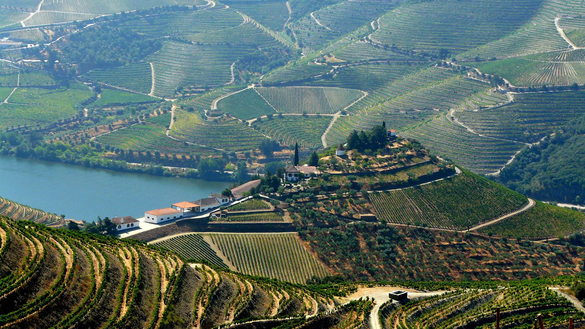 Quinta do Crasto