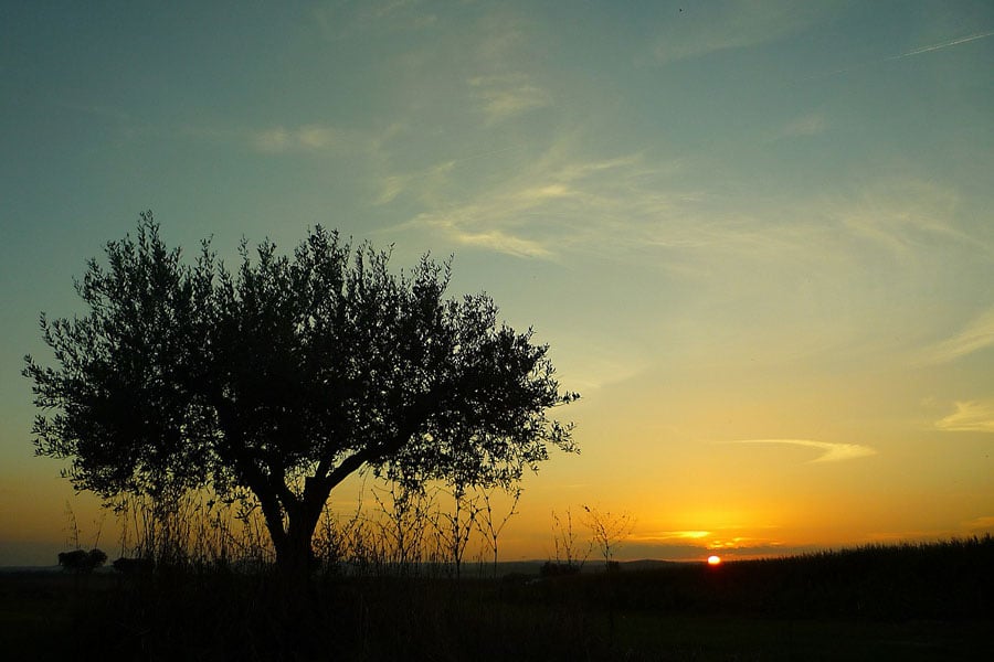 Reasons to Visit Portugal - Peacefulness