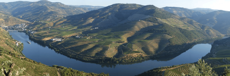 roeda-douro