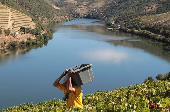 Harvest-Quinta_Do_Popa