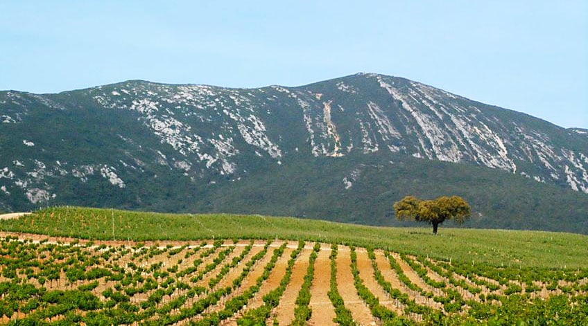 Portugal_Wine_Regions_Peninsula_Setubal