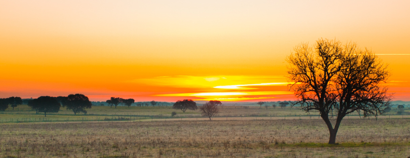 alentejo-sun-set.jpg