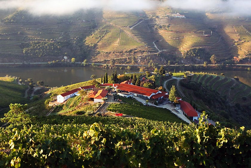 Douro Wineries