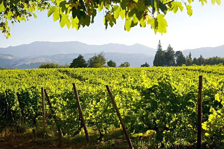 Vinho Verde Wine Region