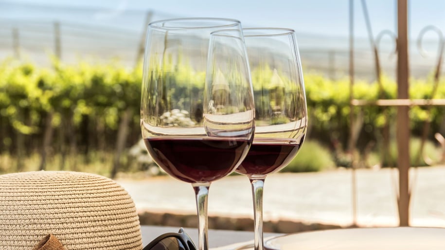 Wine Tourism