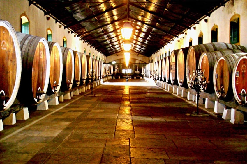 5 Wineries You Can't Miss in Lisbon