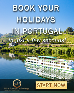 Vacations in Portugal 2017