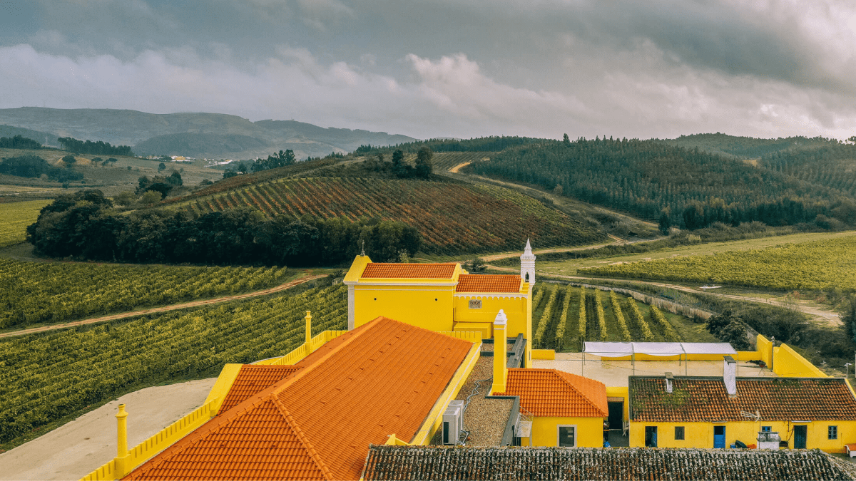 1-Day Wine Tours in Portugal: Escapes From Lisbon to Alentejo & More
