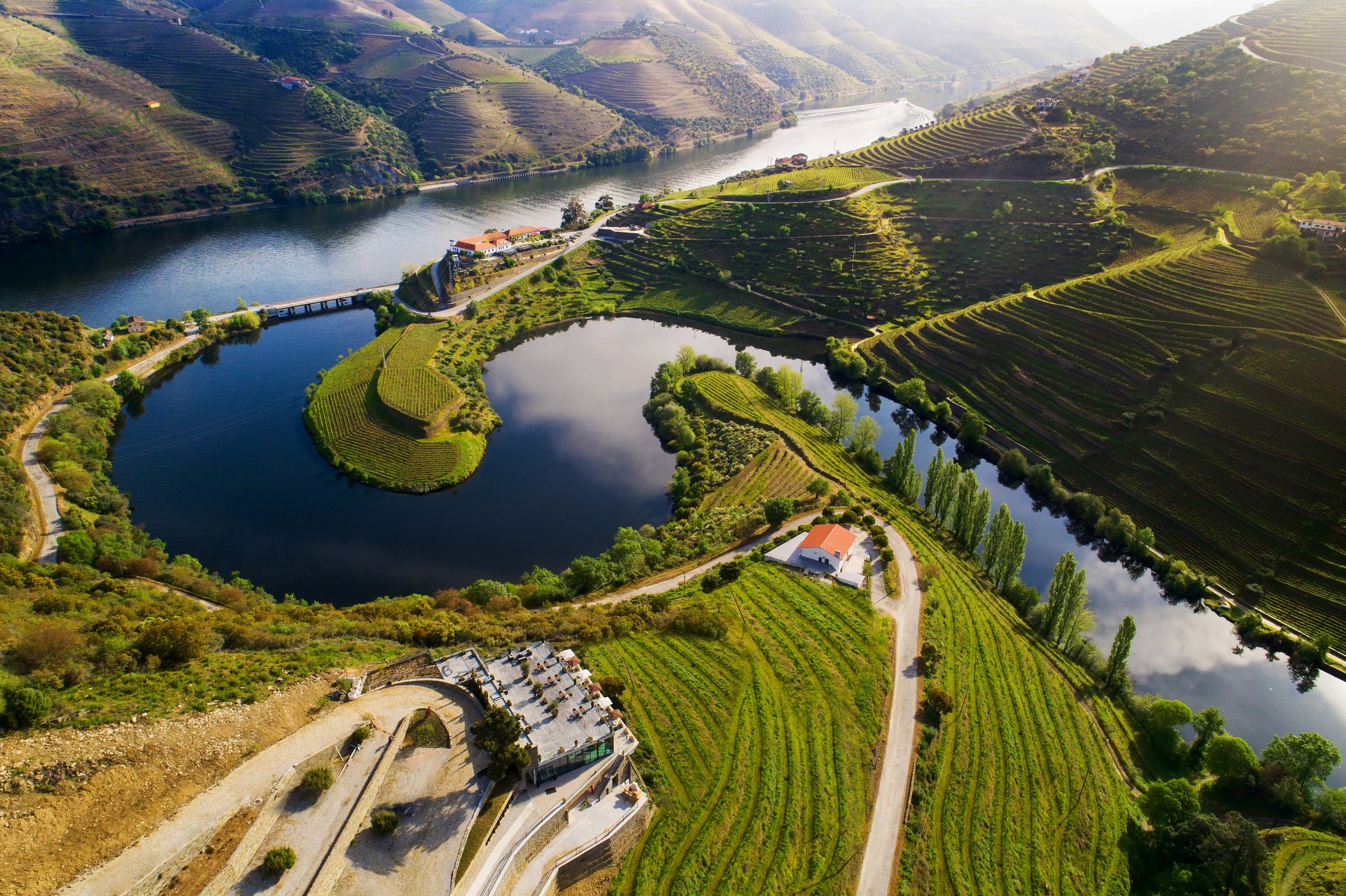 On The Douro Road: A Guide to Wine Tourism in Portugal