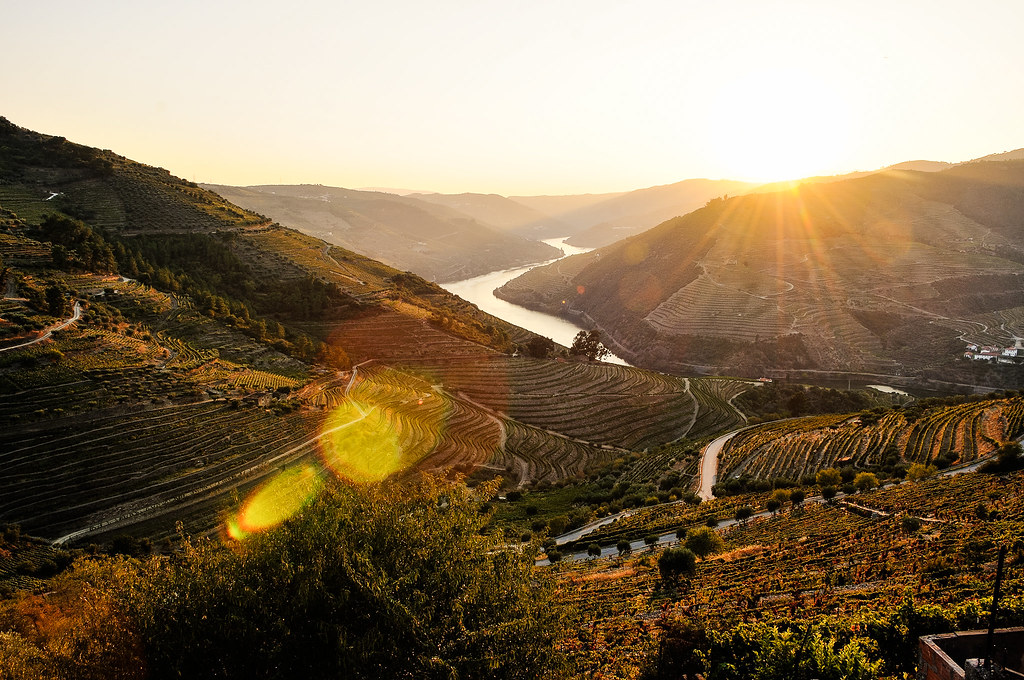 Uncover the Secrets of Douro with a 7-day Astonishing Tour