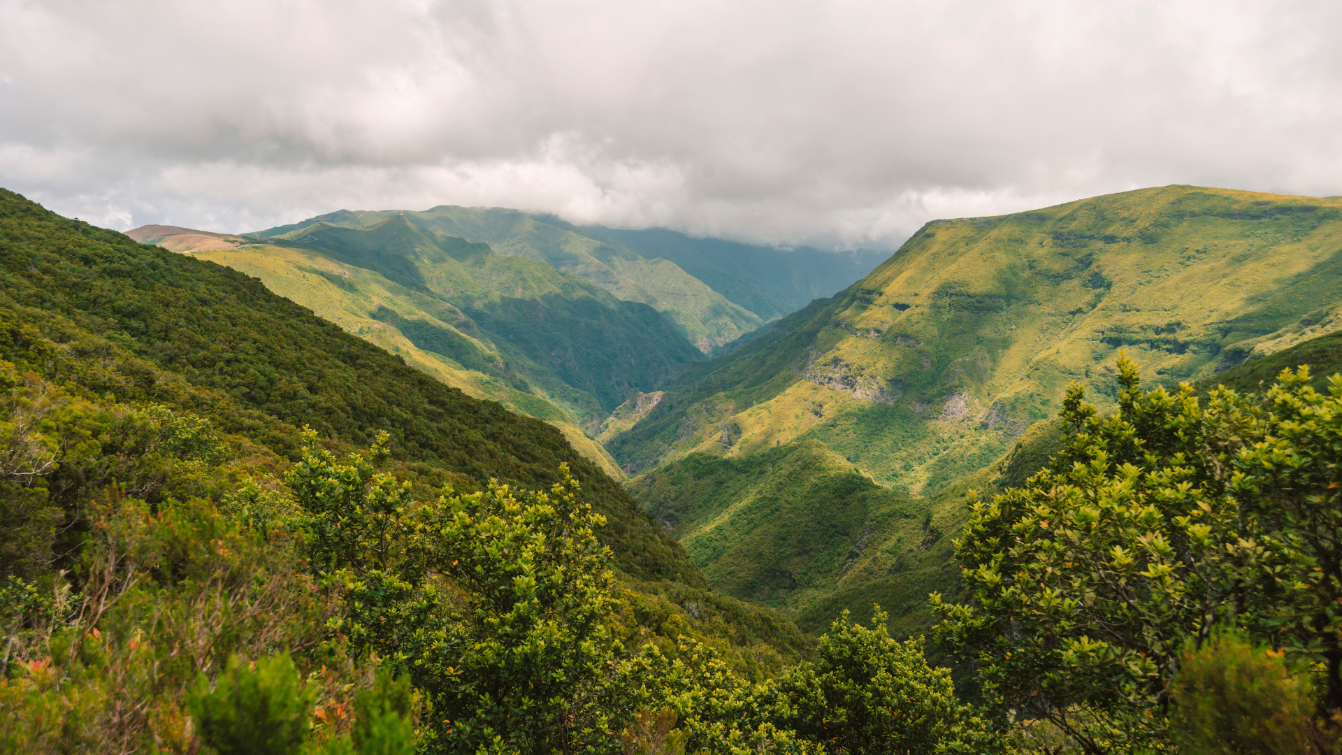 Experience the Best of Madeira with This Unmissable 5-Day Tour