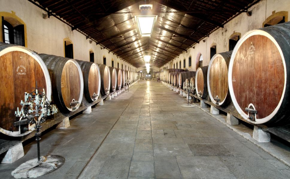 5 Wineries You Can't Miss in Lisbon