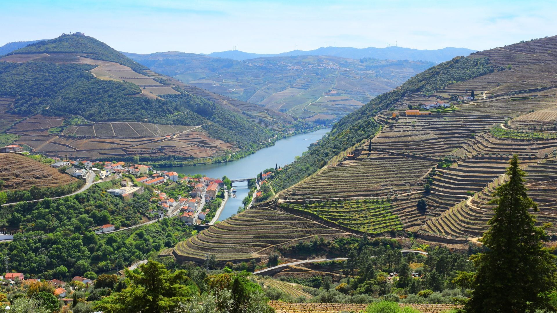 How to Visit the Douro Valley in One Day