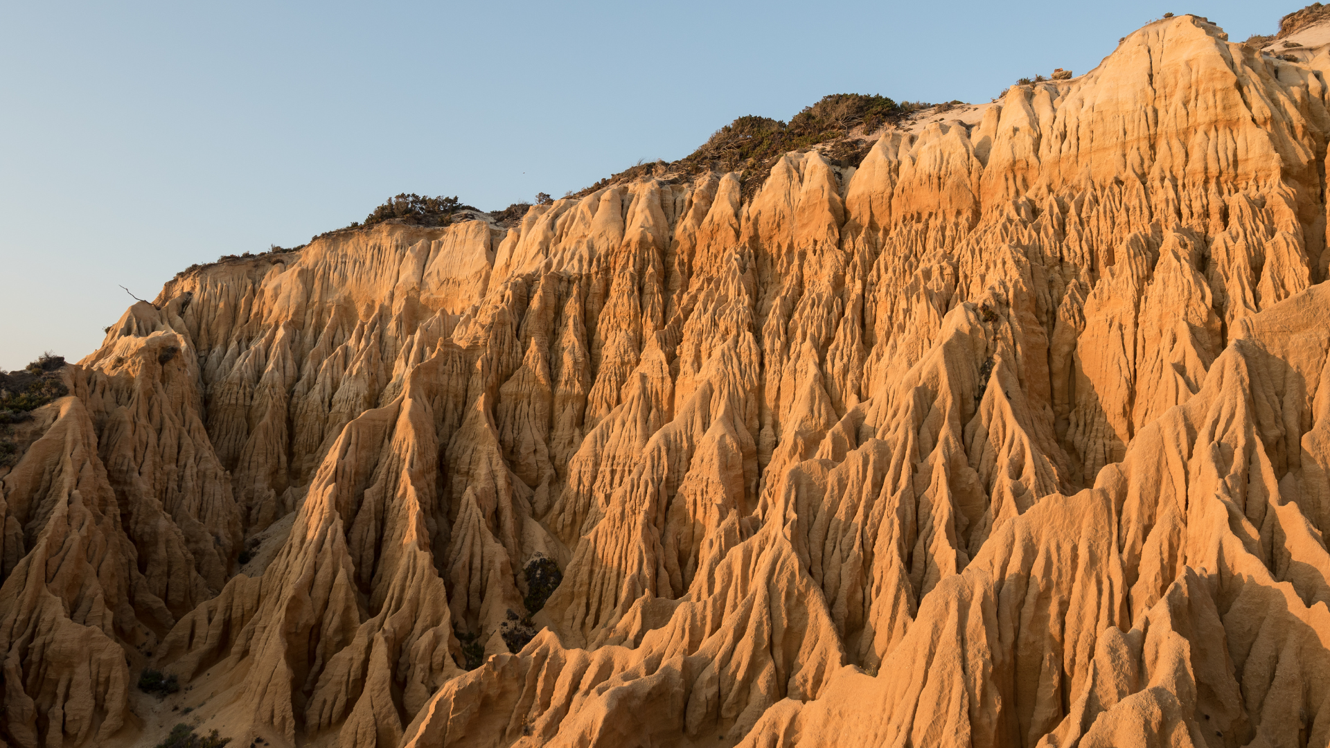 Discover Comporta, Portugal: Europe's Hidden Coastal Gem