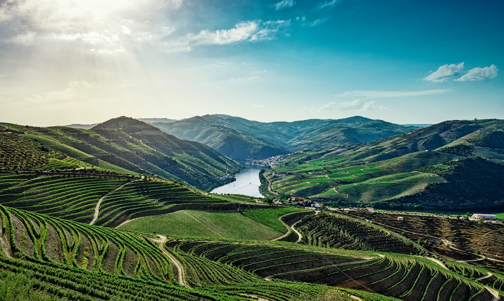 Ultimate Guide to Visiting the Douro Valley