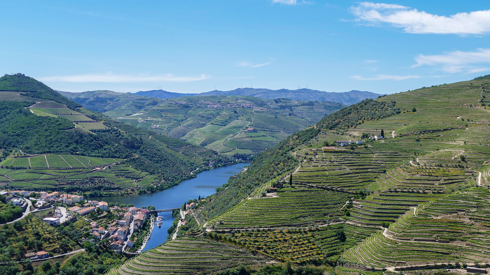 Douro Valley Travel Guide: 5 Hotels & 5 Restaurants You Need to Try