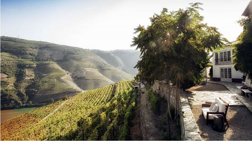 5 Ways to Celebrate the Douro Harvest this Fall