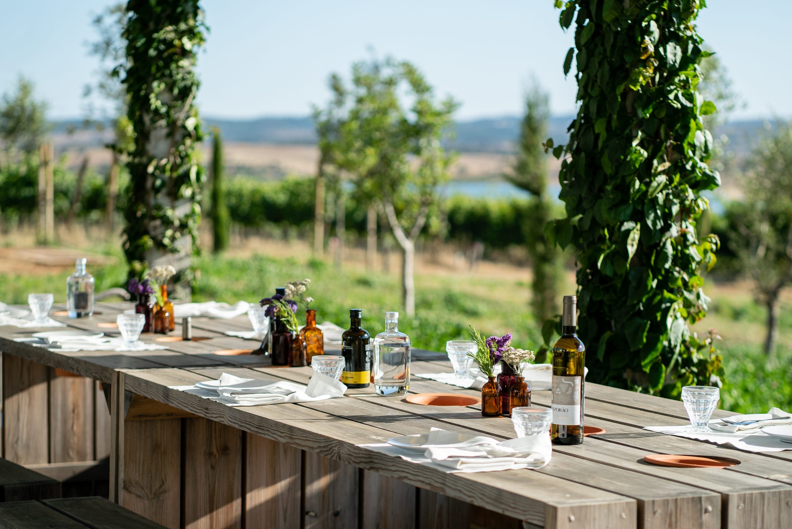 Last-Minute Wine Tours Portugal: Top Escapes to Book Now