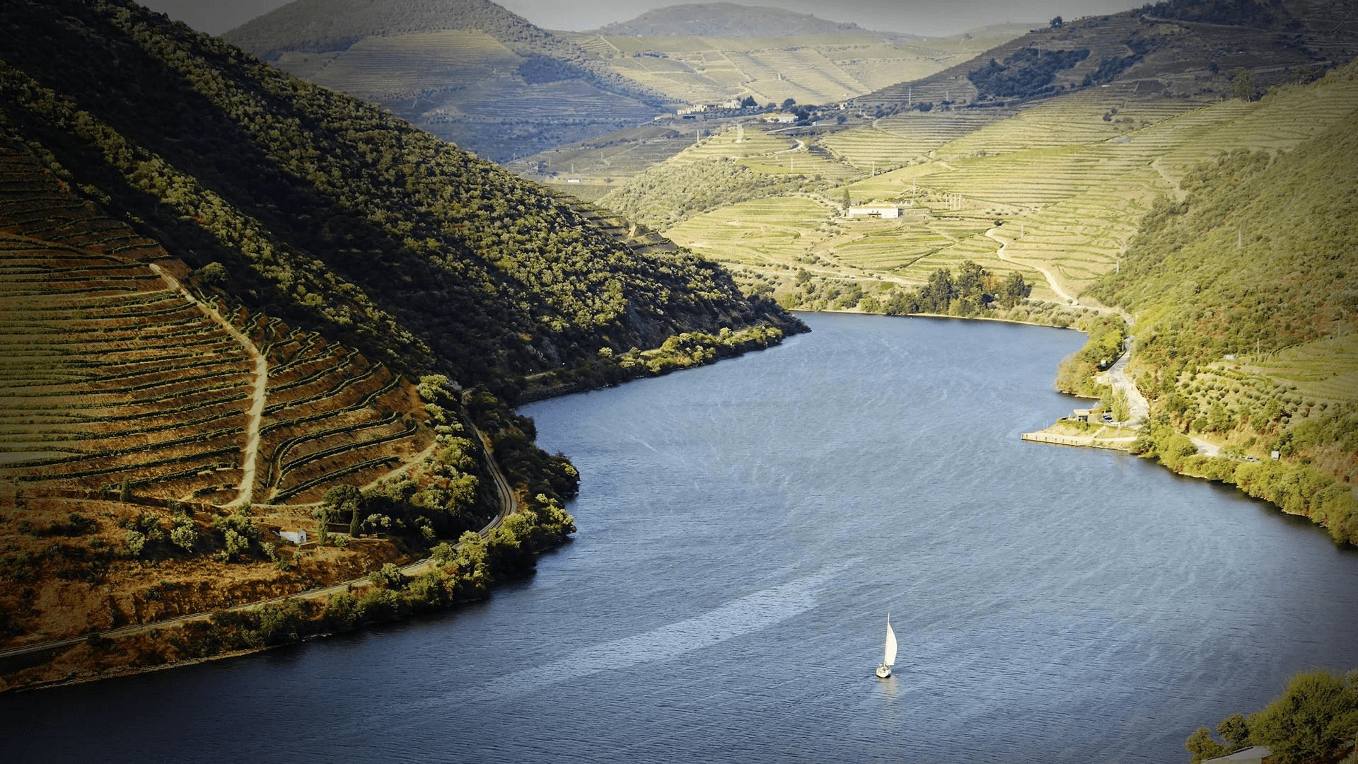 Douro Valley Named The Wine Region of the Year 2025 by Wine Enthusiast