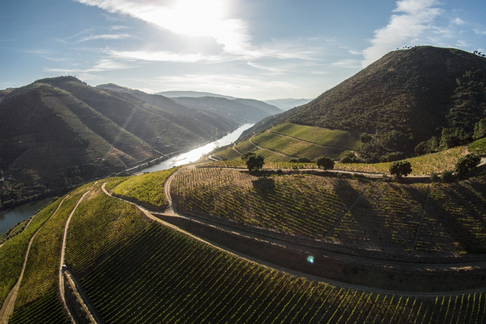 Is Douro Valley worth visiting?