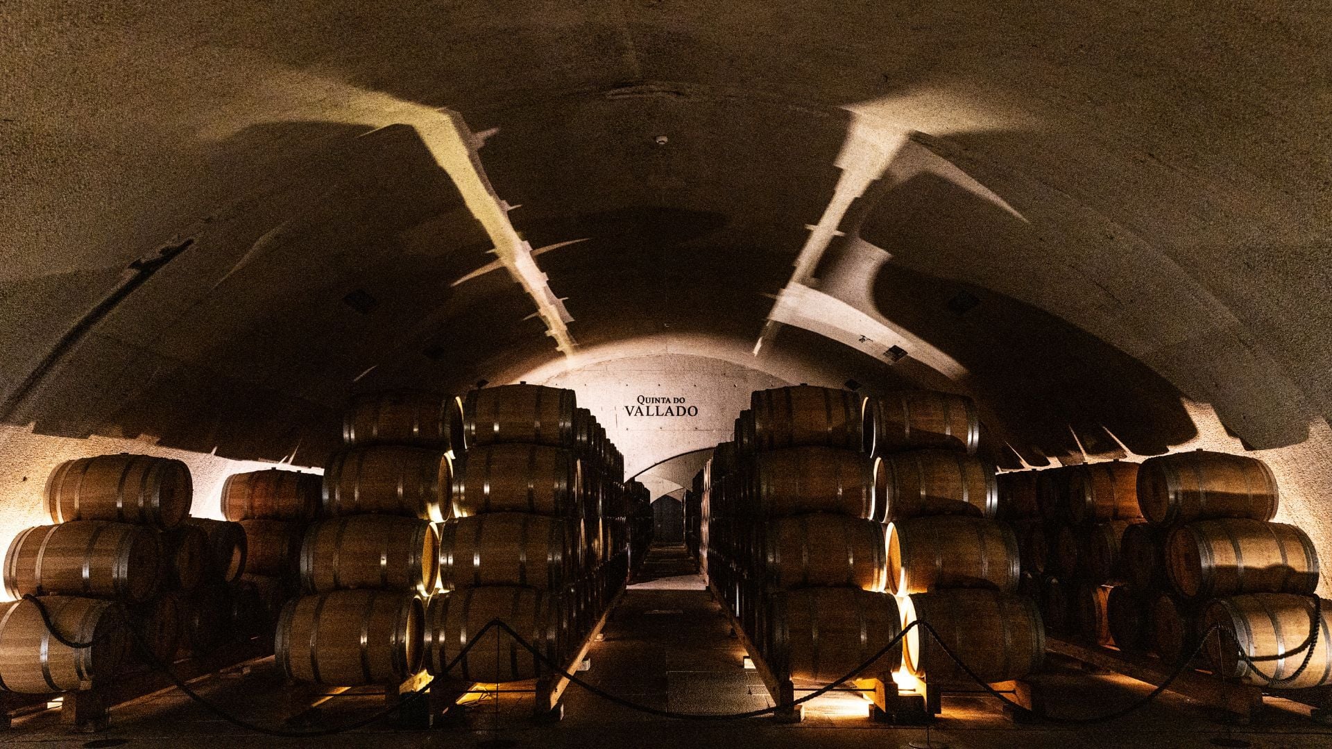 10 Wineries in Douro You Cant Miss (2026 Guide)