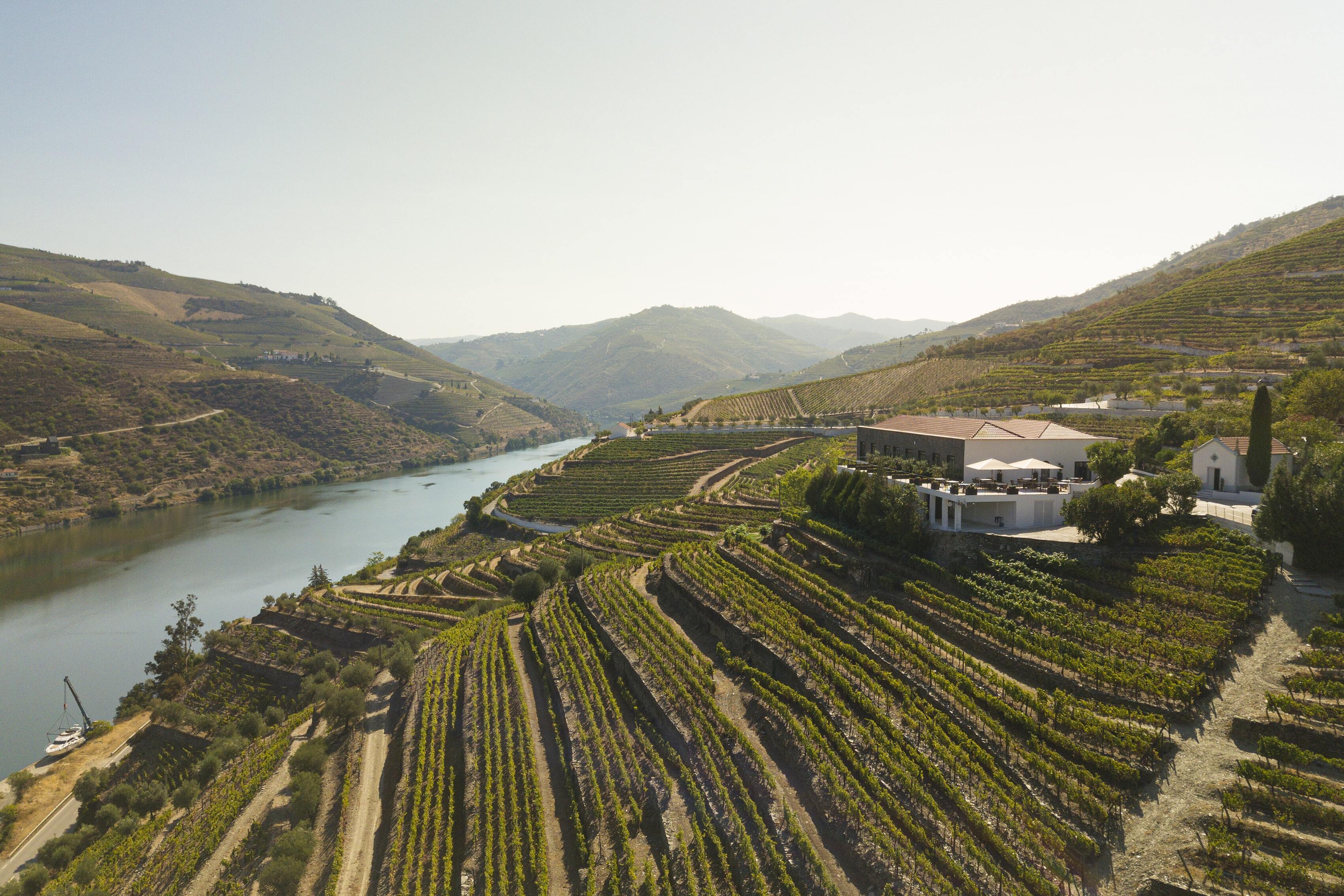 10 Most Scenic Wineries in Portugal to Visit in 2025 for Unforgettable Views