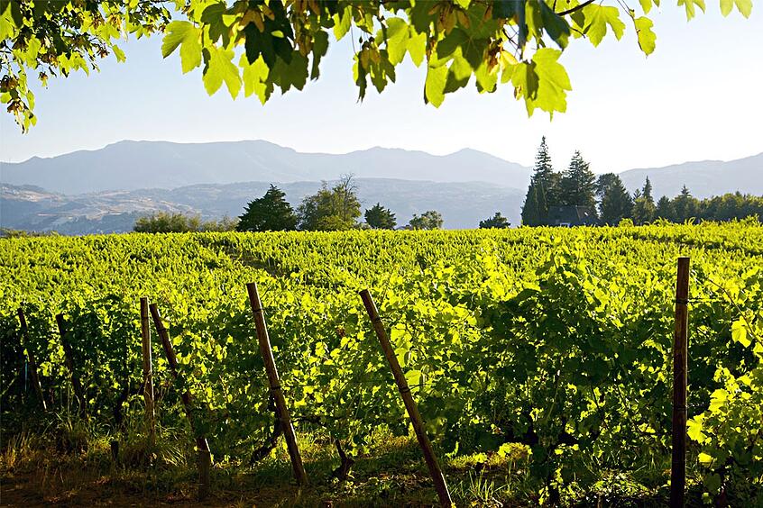 Região dos Vinhos Verdes